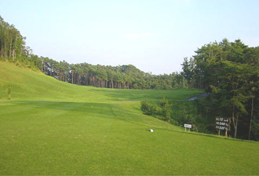 IN No.10 ティーグラウンド