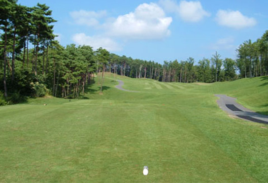 IN No.17 ティーグラウンド