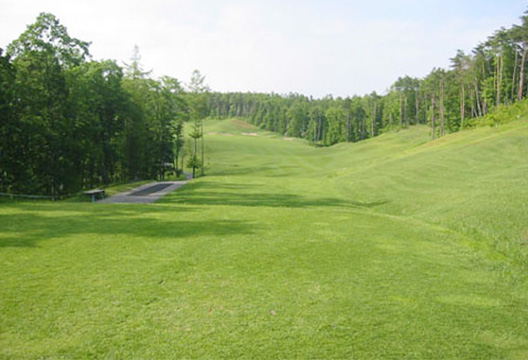 OUT No.5 ティーグラウンド