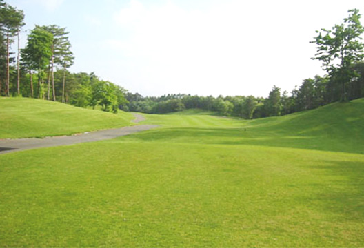 OUT No.7 ティーグラウンド